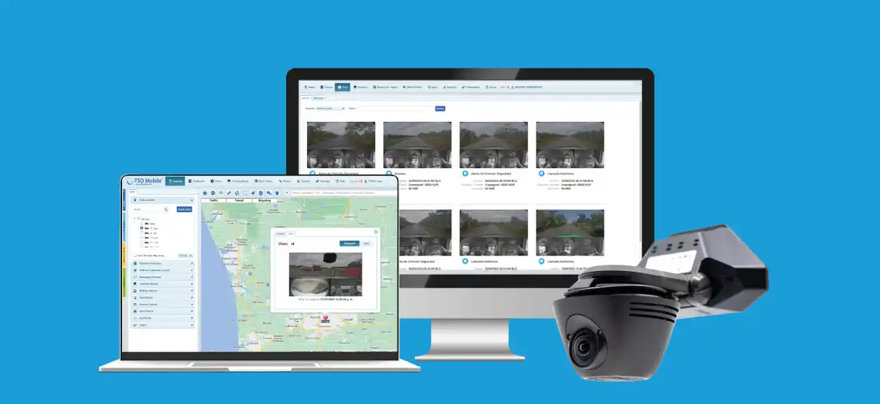 como prevenir accidentes de transito